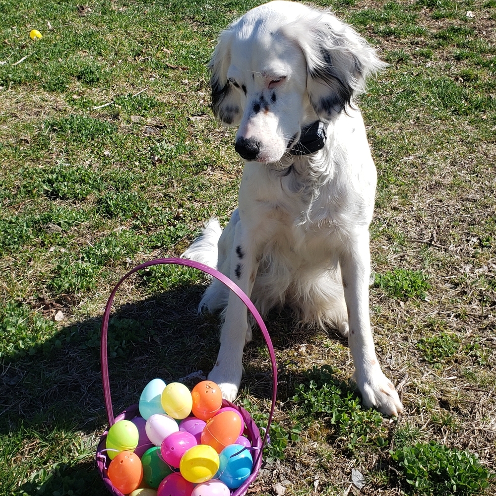 Meet your Posher, RFitz